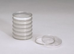 Advantec Petri Dish Without Pads 50X11 Mm 100 CS