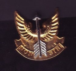 Sadf - Wemmerpan Commando Bimetal Cap -berei Badge - With Two Nut & Screws For Mounting