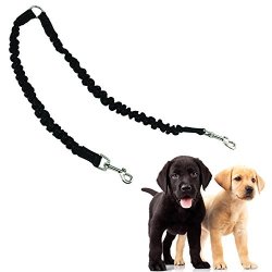 small pet leash