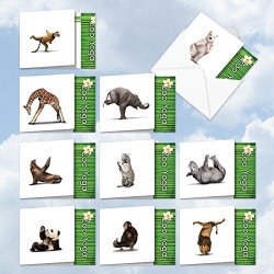 10 Humorous 'zoo Yoga All-occasion Assortment' Note Cards With Envelopes 4.8 X 6.6 - Blank Greeting Notecards With Funny Zen Bear Lion Monkey