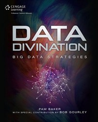 Data Divination - Big Data Strategies Paperback