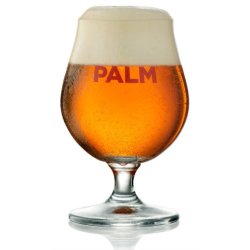 Palm Belgian Beer Glass