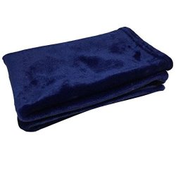 Buyeverything Luxury Fleece Super Soft Thermal Blanket Warm Fuzzy Microplush Lightweight Blankets For Baby Nursing Pet Dog Cat Blue
