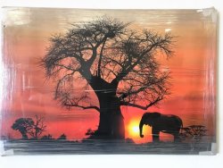 African Sunset - Box Framed Print On Canvas - New Stock