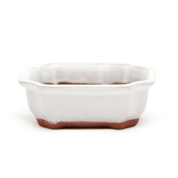 Willow Potteries Mame Bonsai Pots - Speckled White Rectangle 9 X 6.5 X 3cm