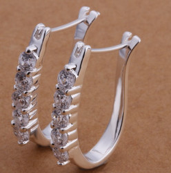 925 Sterling Silver Filled Ladies Hoop Style Earrings With Aaa Crystals