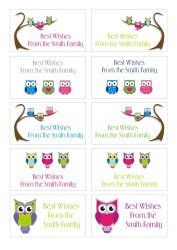 Adhesive Gift Labels - Pastel Owls - 50