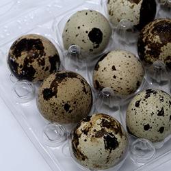 American Heritage Industries Jumbo Quail Pheasant Or Grouse Egg Cartons Pack Of 50 Cartons Only No Eggs Included