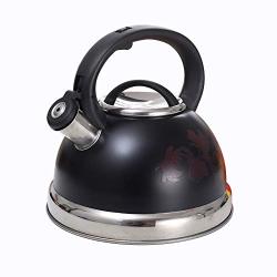 Agye Induction Whistling Kettle Stainless Steel Teapot With Cool Toch Ergonomic Handle BLACK-3L