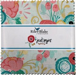 Riley Blake Designs Just Sayin/' by My Minds Eye 10 Inch Stackers 42 squares