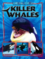 Killer Whales Boys Rock!