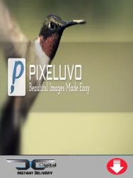 Steam Pixeluvo Cd Key - Photo Editing PC