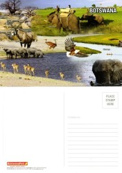 Botswana - 2000 Wetlands Postcard 3 Mint