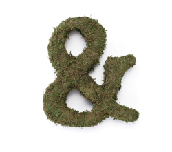Large 12 Inch Moss Monogram - Ampersand
