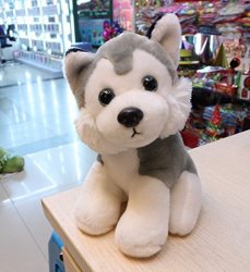 plush husky dog