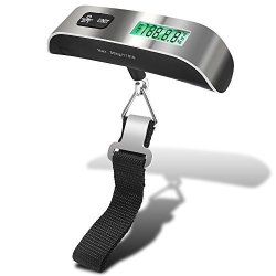 Senhai Digital Hanging Postal Luggage Scale Potable Lcd Display Scale With Tempreture Sensor 110LB Silver