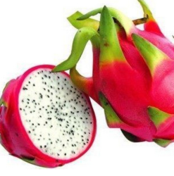 White Flesh Pitaya - Dragon Fruit 10 Seeds