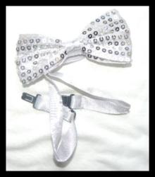 Silver Sequence Bowtie