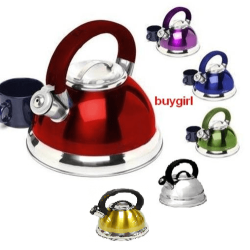 Special Energy Saving Whistling Kettle:works On Gas Electro Induction Glass Ceramic & Halogen Plate