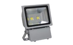 100W LED Floodlight