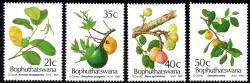 Bophuthatswana - 1991 Edible Wild Fruit Set Mnh Sacc 257-260