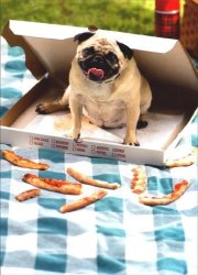 Avanti Press Pug In Pizza Box Dog Birthday Card