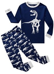 Family Feeling Dinosaur Little Boys Long Sleeve Pajamas Sets 100% Cotton Pyjamas Toddler Kids Pjs Size 3T Blue