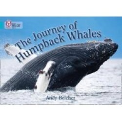 The Journey Of Humpback Whales: Turquoise band 07