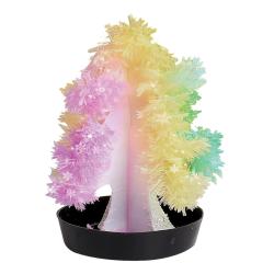 Edu - Crystal Growing Kit - 2 Colours