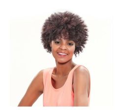 Machine Made Afro Curly Synthetic Hair Wig Audi P1B30