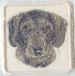 Embroidered Sew On Cream Wire Haired Dachshund