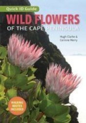 Wild Flowers Of The Cape Peninsula