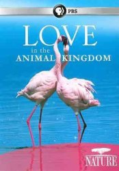 Nature:love In The Animal Kingdom - Region 1 Import DVD
