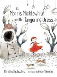 Morris Micklewhite And The Tangerine Dress hardcover