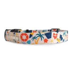 Dog Collar Beach Vibes Only - Large