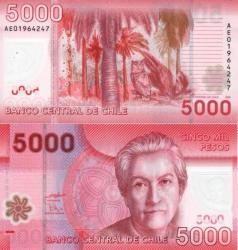 Do Not Pay - Chile 5000 Peso 2009 Plastic Unc P-161