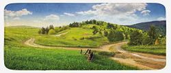 Ambesonne Landscape Kitchen Mat Hillside Meadows Cloudy Sky Fence Near The Road With Fir Trees On Both Sides Plush Decorative Kitchen Mat With Non