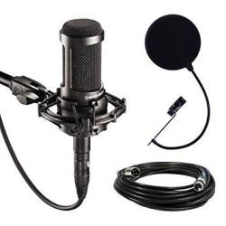 Audio-technica AT2035 Large Diaphragm Studio Condenser Microphone Bundle With Shock Mount Pop Filter And Xlr Cable