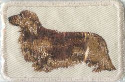 Embroidered Sew On Cream Long Haired Dachshund