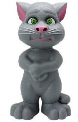 Talking Tom Cat Play Back Your Voice
