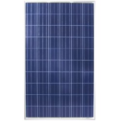 ReneSola Virtus Ii 305w Solar Panel - Pallet Of 25 Units