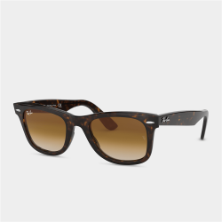 Men&apos S Brown Wayfarer Sunglasses