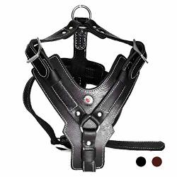 Black Genuine Tooled Leather Dog Harness Large. 27-37 Chest, 1.25 Wide  Straps Pit Bull, Boxer 