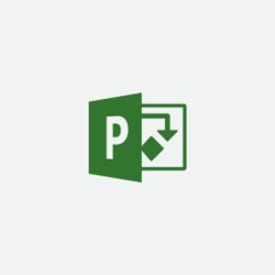 Microsoft Project Professional 2019 - 1PC - Download