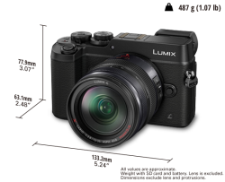 Panasonic Lumix G Dmc-gx8agc Mirrorless Camera+12-35mm F 2.8 Lens For Micro 4 3s Digital Camera:dual I.s. Innovative Image Stabilizer Large Lvf Splash dustproof 20.3mp Digital Live Mos