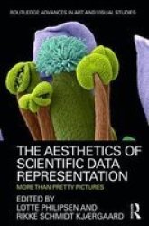 The Aesthetics Of Scientific Data Representation - More Than Pretty Pictures Hardcover