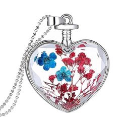 Diffstyle Charming Dried Pressed Flower Love Heart Glass Bottle Pendant Collar Necklace Type 3