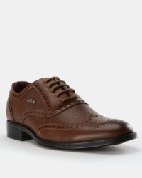 Anton Fabi Daniello Formal Lace Up Shoes Brown