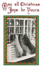 Vintage Christmas Art three Skye Terrier Puppy Dogs Looking In Window From Outside BENCH 6 Pack New Matte Vintage Picture Large Blank Note Cards With Envelopes