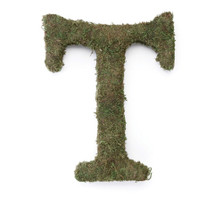 Large 15 Inch Moss Monogram - T